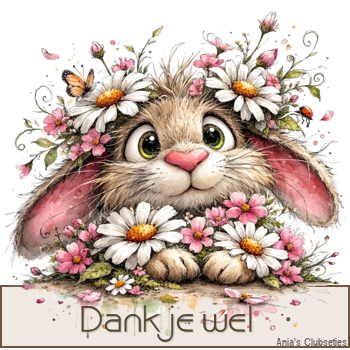 konijn 3 dank je we…