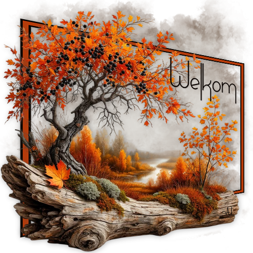 2026 Herfst 14-welk…